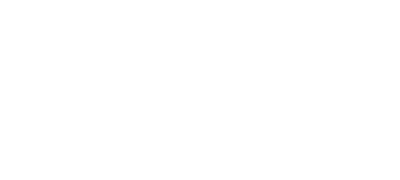 Сервис проверки контрагентов "Некса"